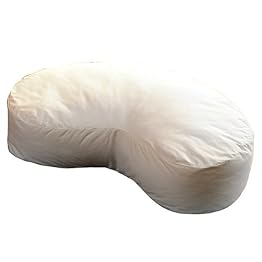 Sealy Sweet Pea Maternity Pillow