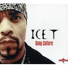 Click here to buy Gang Culture by  Ice T .