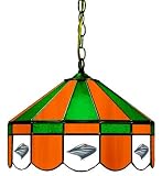 16 Swag Hanging Lamp Light University of Miami Hurricanes - Free Shipping