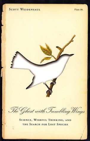 View Image