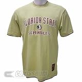 Men's Florida State Seminoles 'Icon Double Layer' S/S Tshirt