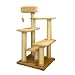 Majestic 48 Inch Kitty Cat Jungle Gym