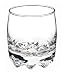 Galassia Double Old-Fashioned Glasses - Set of 4 By Bormioli Rocco