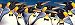 Penguin Party - 1000pc Serendipity Panoramic Jigsaw Puzzle