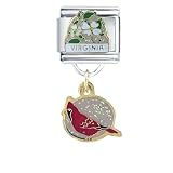 Virginia State Bird & Flower Italian Charms Bracelet Link