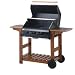 Lifestyle Queensland 3 Burner BBQ
