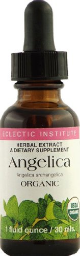 Eclectic Institute - Angelica Extract, 1 oz liquid