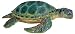Sea Turtle, Wild Safari