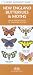 Book New England Butterflies & Moths: An introduction to 72 familiar species (Pocket Naturalist - Waterford Press)
