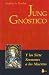 Jung Gnostico (Spanish Edition)