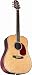 Musical Instruments : Takamine NV360S Acoustic Guitar with Case