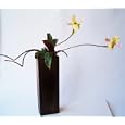 Office Desk Decor - Dancing Lady Slipper Orchids