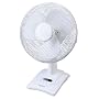 Draper 62395 12-Inch Desk Fan by Draper