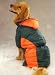 Casual Canine Base Camp Parkas - Green  Orange, Size: XX-LARGE