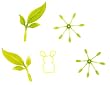 FIJIT Friends Sage Accessory Pack