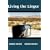 Living the Linger: A Surreal Road Trip Across the USA