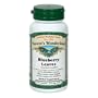 Nature's Wonderland Blueberry Leaves Herbal Supplement Capsules, 525 mg, 60-Count Bottles (Pack of 3)