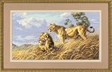 Africian Lions Counted Cross Stitch Kit, Craft Kit