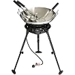 Eastman Outdoors 37225 22-Inch Stainless-Steel Wok Kit with Burner, Spoon, Skimmer, and Spatula