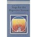 The Practice of Yoga for the Digestive System