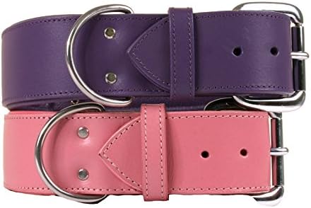 Dallas Luxury Leather Padded Dog Collar -Purple - 20" x 1"