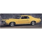 1969 Cougar CJ 351 Hood Stripes - BLACK SILVER by Phoenix Graphix