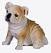 BULL DOG Fawn BULLDOG PUPPY sits RESIN FIGURINE 6629
