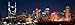 Nashville Skyline NIGHT Color Downtown City 12 inches x 36 inches UNFRAMED Photographic Panorama Poster Print Photo Picture Standard Size