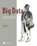 Big Data:Principles and best practice...