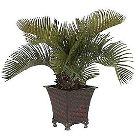 New Nearly Natural Potted Cycas Plam Silk Plant Colorful Ornamental Leaves Delicate Stems Charming