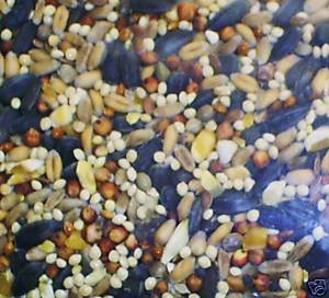20kg of wild bird food