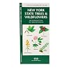 New York State Trees & Wildflowers: An Introduction to Familiar Species (State Nature Guides)