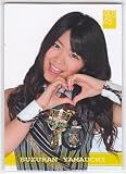 山内鈴蘭 AKB48トレーディングコレクション ノーマルカード R262N