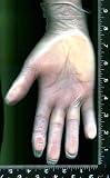 NEW, POWDERED, VINYL, GLOVES, 200, GLOVES, 2 boxes, MEDIUM, GLOVE, by, SELECT MEDICAL PRODUCTS, for, FOOD SERVICE, or GENERAL USE, for HAND HYGIENE, or, HANDS PROTECTION, MEDICAL PURPOSES, [BOOK],