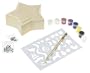 Paint the Wild My Star Box Kit