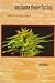Medical and Religious Marijuana Cultivation