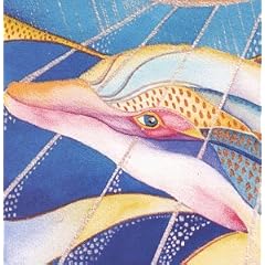 Celebration of the Hawaiian Spinner Dolphin
