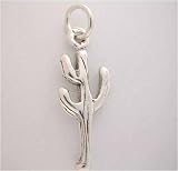 Silver Desert * CACTUS CHARM * Plant WOW