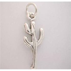 Silver Desert * CACTUS CHARM * Plant WOW