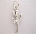Silver Desert * CACTUS CHARM * Plant WOW