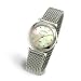 Skagen Women's Stainless Steel Mesh Watch #107SSSMPS