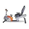 Velocity Exercise Magnetic Recumbent Bike