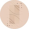 Stainmaster® Caliente Rug- Alabaster(77" Round)