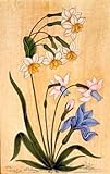 Asian Paintings Miniatures Drawings & Water Color on Paper 9 x 7 inches