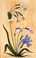 Asian Paintings Miniatures Drawings & Water Color on Paper 9 x 7 inches