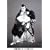 �̕��ꖼ��� ���i�� [DVD]