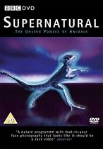 Supernatural [DVD]