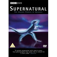 Supernatural [DVD]