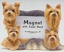 Yorkshire Terrier II Magnet