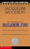 From The Notebooks Of Melanin Sun